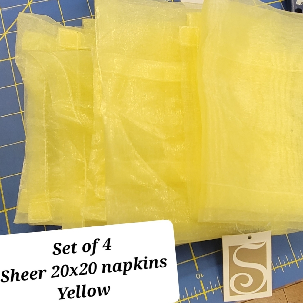 Sheer 20x20 Napkins Set of 4